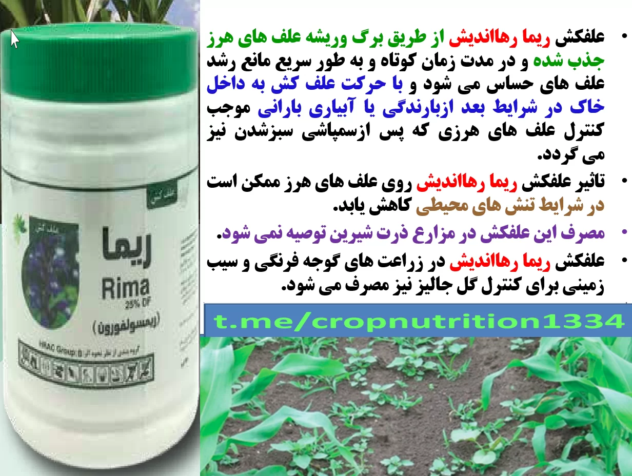 علفکش ریما- رهااندیش -زراعت ذرت – قسمت سوم
