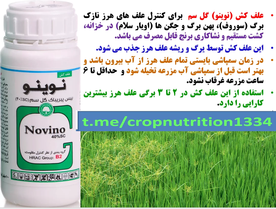 علفکش نوینو(گل سم) برای کنتزل علف های هرز زراعت برنج- قسمت سوم