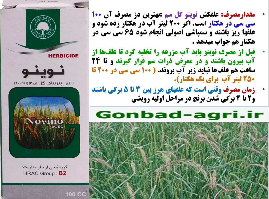 علفکش نوینو(گل سم) برای کنتزل علف های هرز زراعت برنج- قسمت دوم