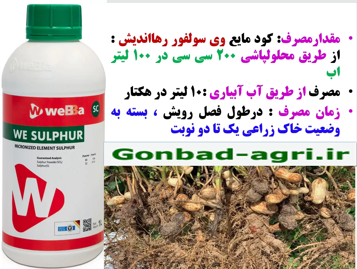 وی سولفور رهااندیش برای حفظ سلامت بوته های بادام زمینی – قسمت دوم