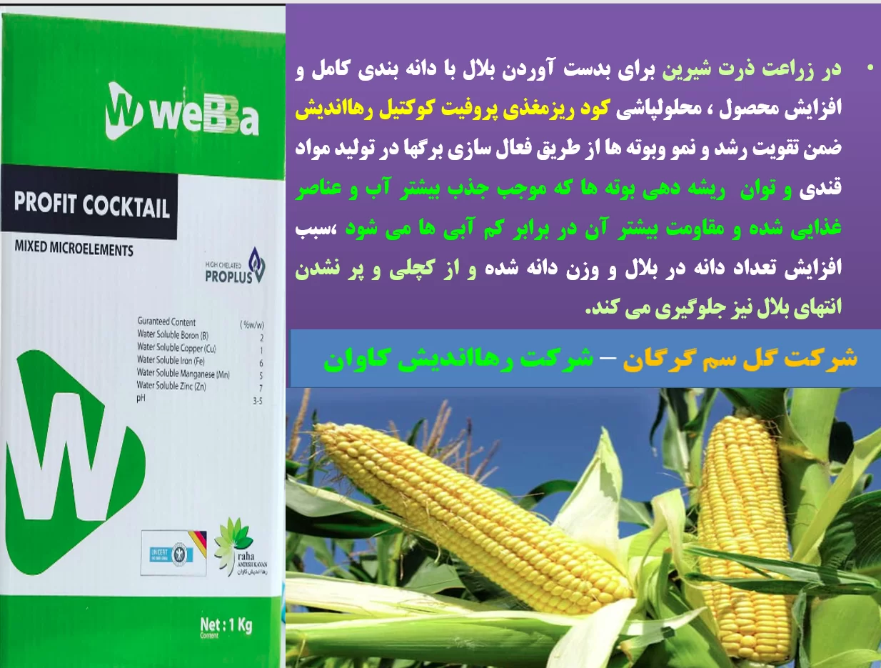 کودریزمغذی پروفیت کوکتیل رهااندیش برای افزاش تولید ذرت – قسمت اول