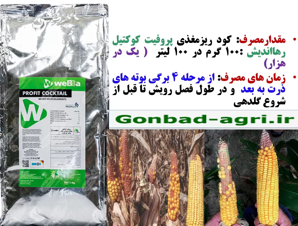 کودریزمغذی پروفیت کوکتیل رهااندیش برای افزاش تولید ذرت – قسمت دوم