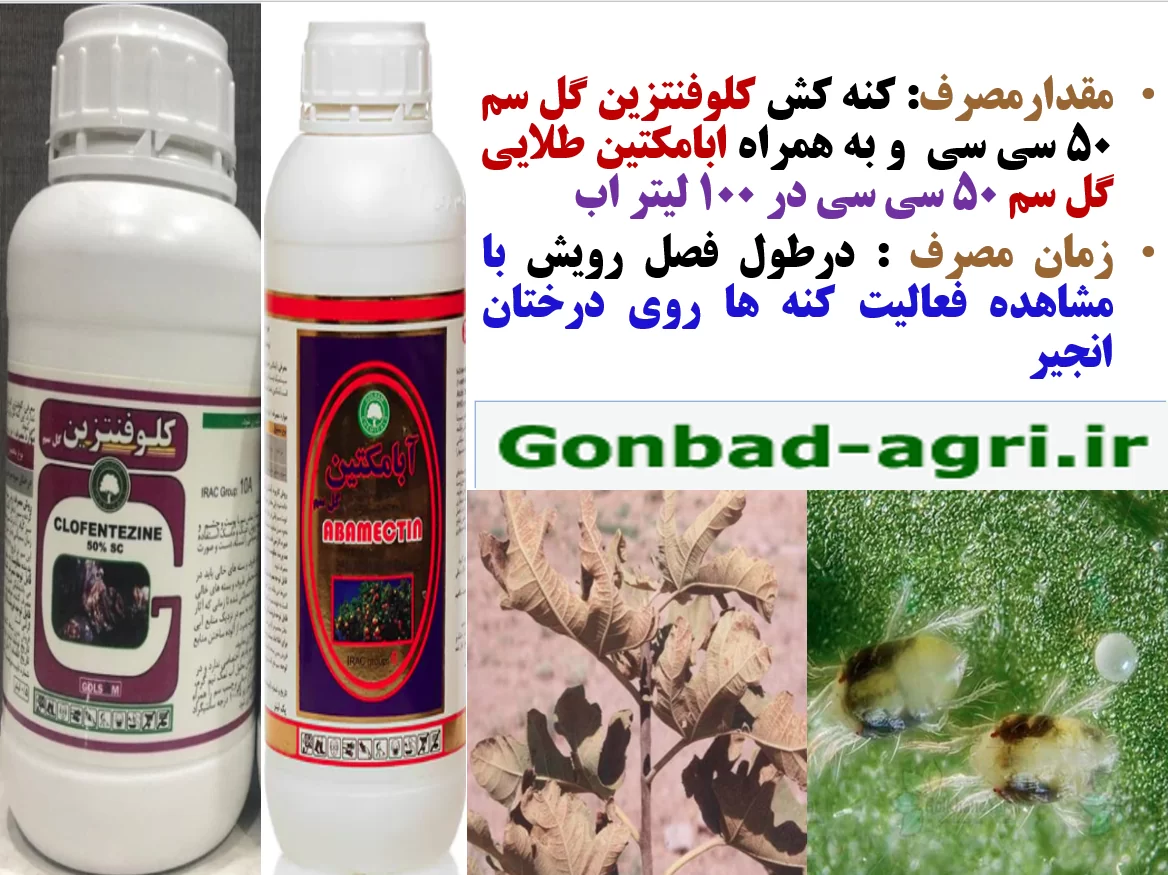 کنه کش های موثر برای کنترل کنه های درختان انجیر-قسمت دوم