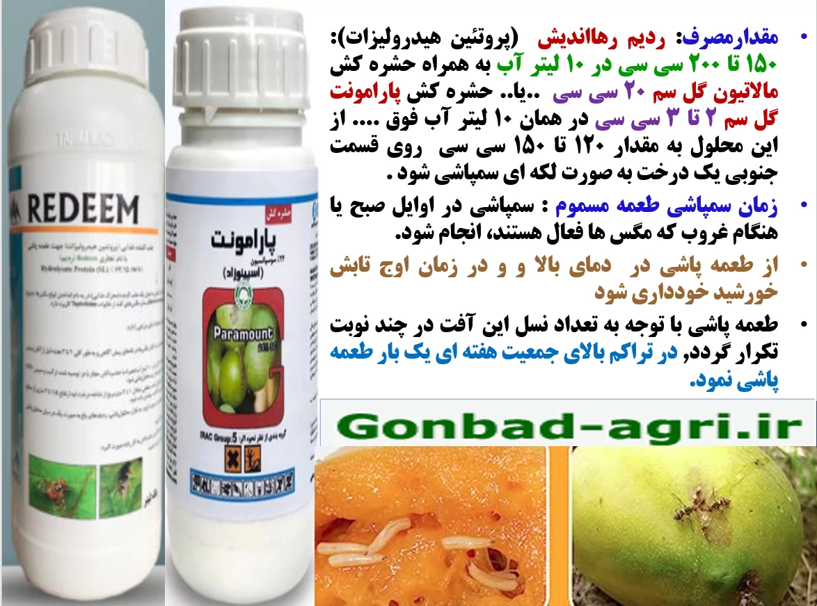 کنترل مگس های میوه با ردیم رهااندیش – قسمت دوم