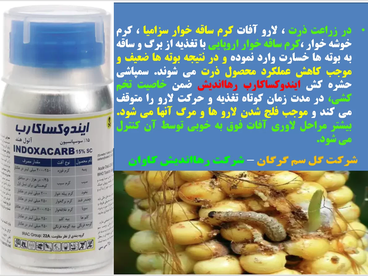 حشره کش ایندوکساکارب رهااندیش برای کنترل آفات ذرت – قسمت اول