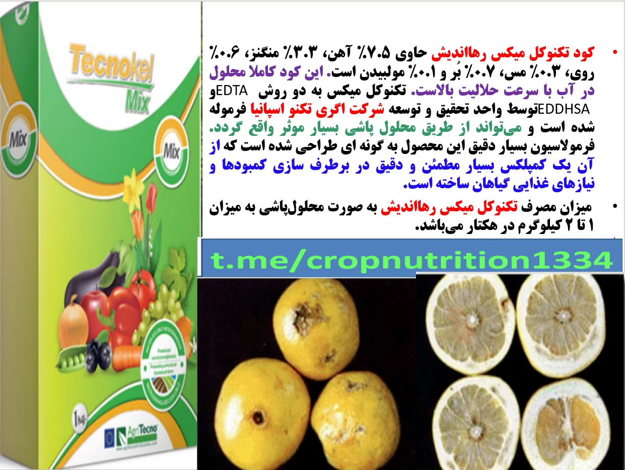 کود تکنوکل میکس برای بهبودی در کیفیت میوه لیمو – قسمت سوم