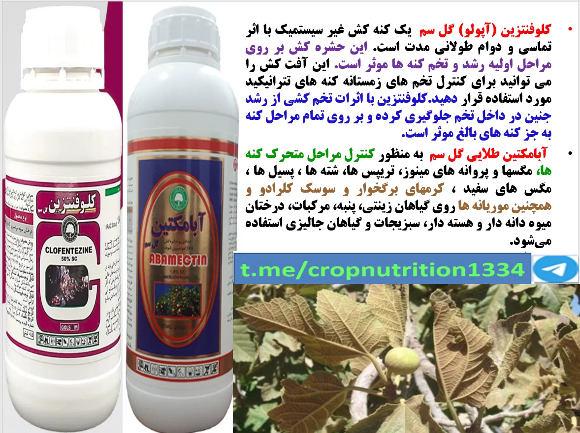 کنه کش های موثر برای کنترل کنه های درختان انجیر-قسمت سوم