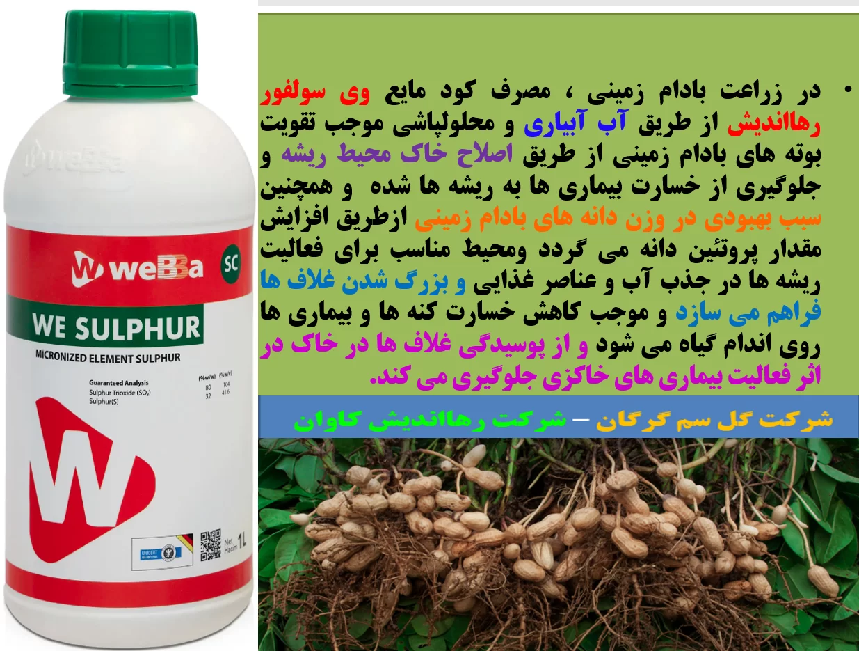وی سولفور رهااندیش برای حفظ سلامت بوته های بادام زمینی – قسمت اول
