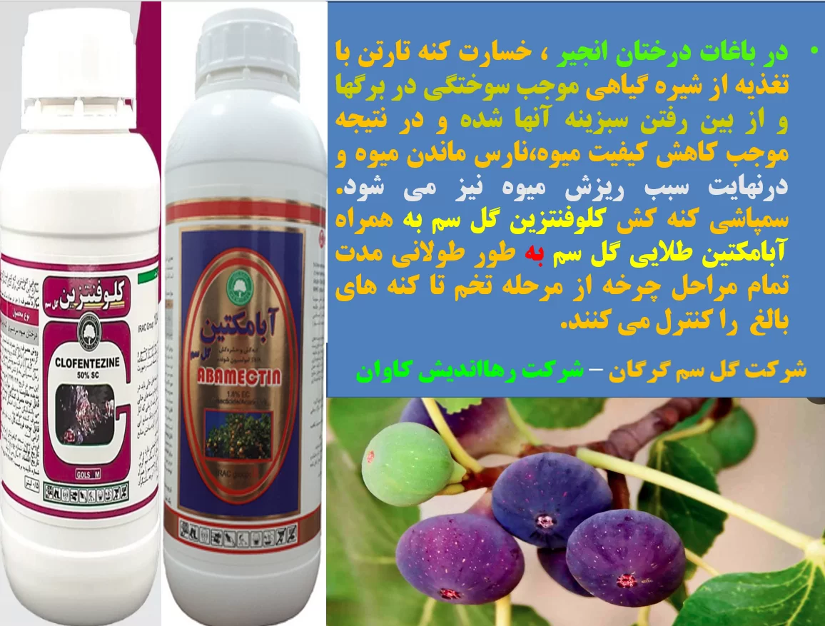 کنه کش های موثر برای کنترل کنه های درختان انجیر – قسمت اول