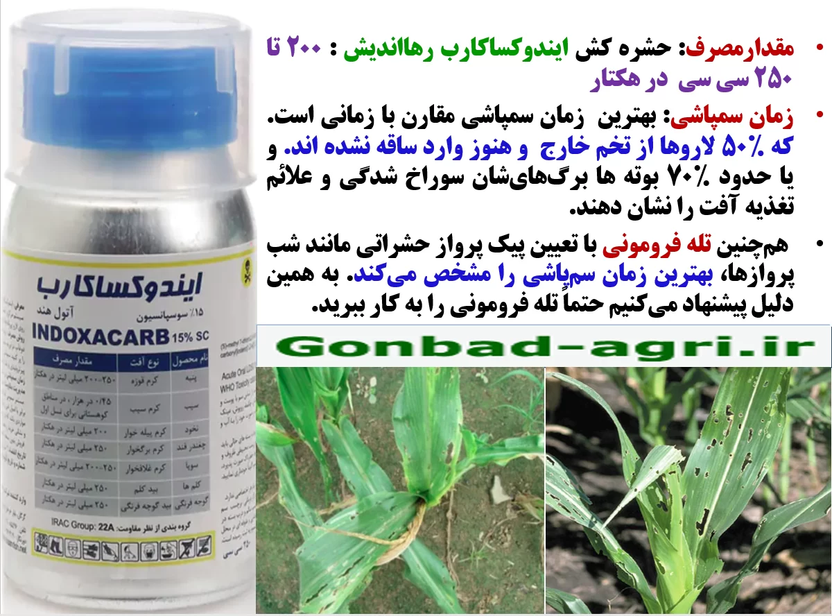 حشره کش ایندوکساکارب رهااندیش برای کنترل آفات ذرت – قسمت دوم