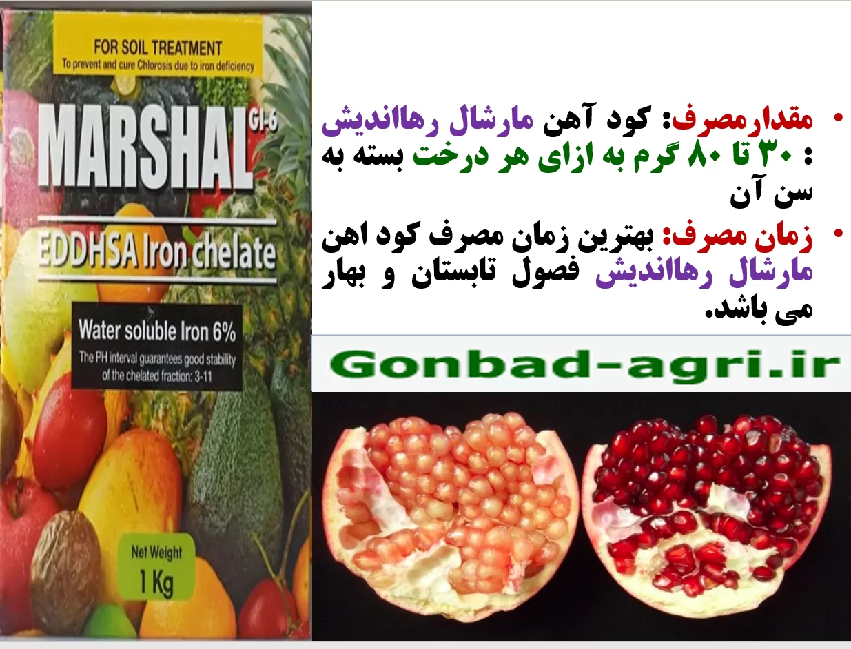 کودآهن مارشال رهااندیش برای رفع سریع زردی در درختان انار- قسمت دوم