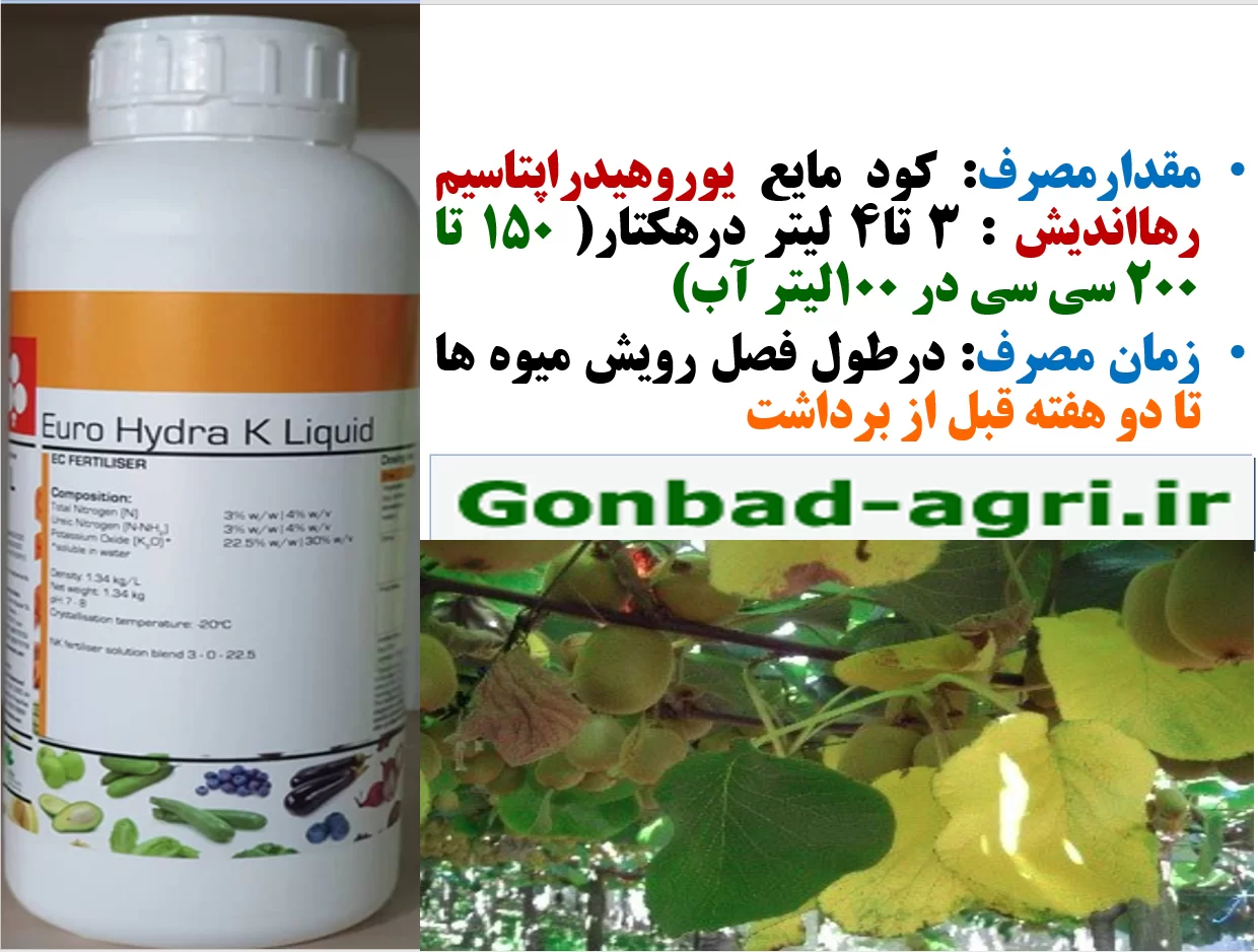 کود مایع یوروهیدرا پتاسیم برای بهبودی در کیفیت میوه کیوی – قسمت دوم
