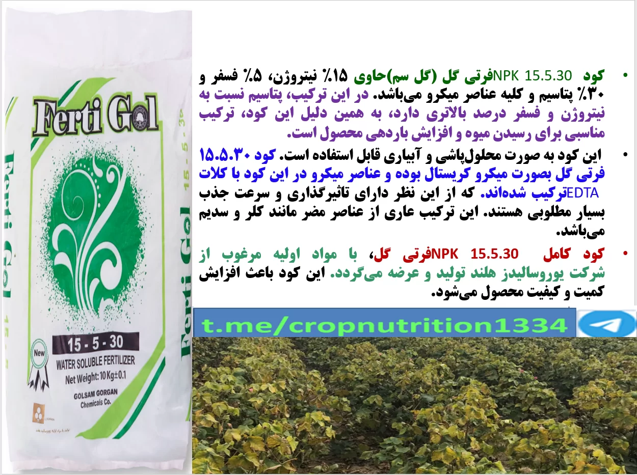 تغذیه برگی بوته های پنبه در مراحل بحرانی رشدبا کود فرتی گل – قسمت سوم