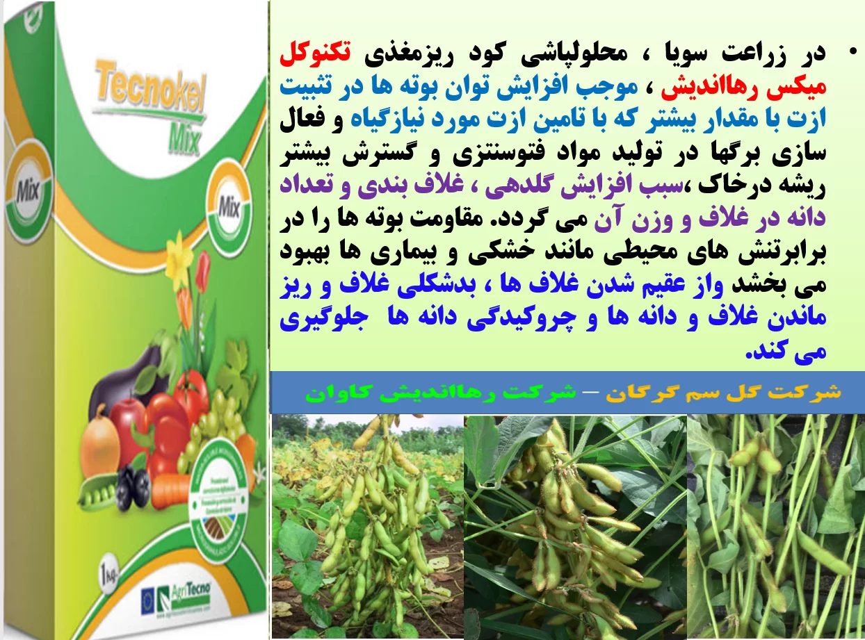 کود ریزمغذی تکنوکل میکس برای تقویت غلاف بندی در زراعت سویا- قسمت اول