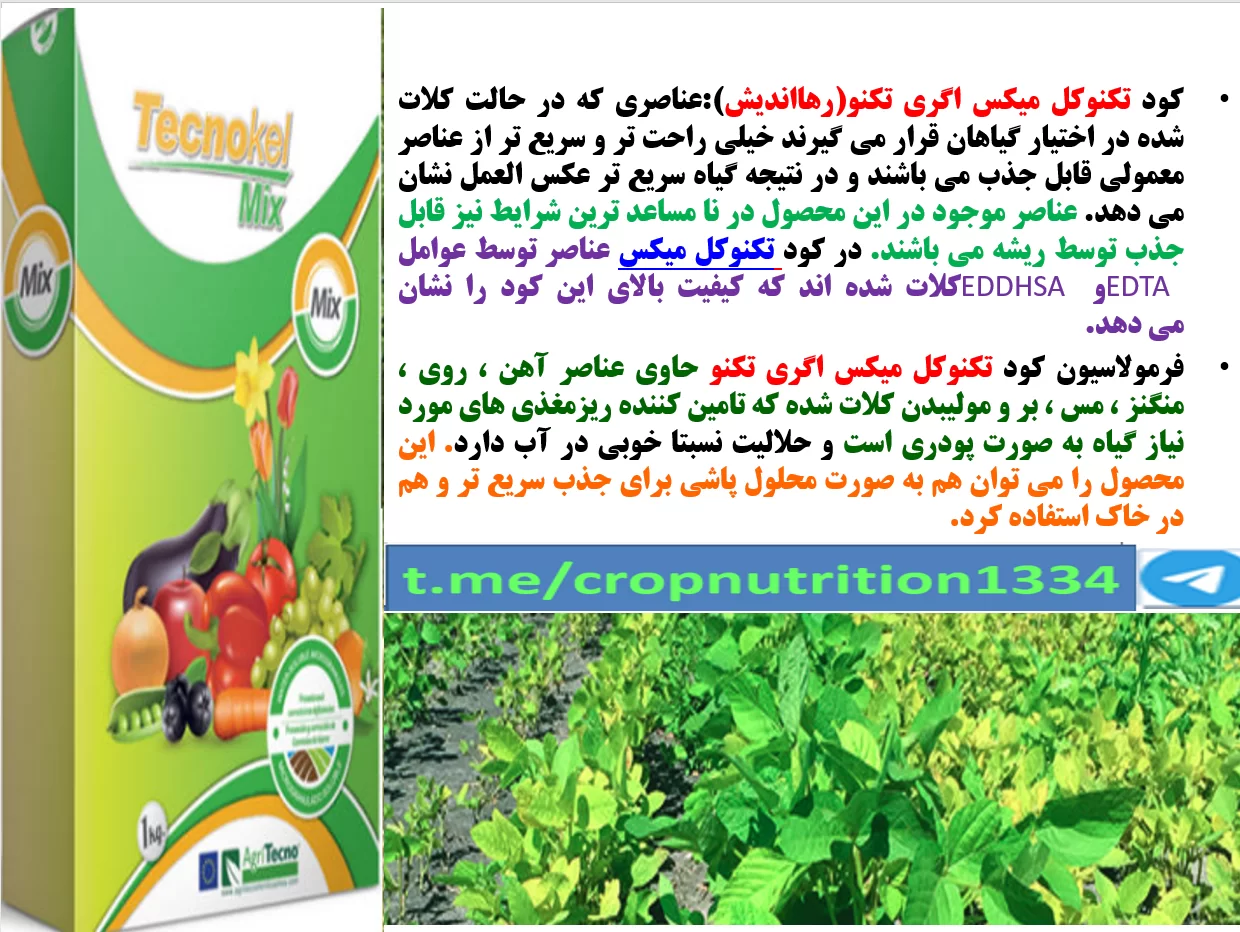 کود ریزمغذی تکنوکل میکس برای تقویت غلاف بندی در زراعت سویا- قسمت سوم