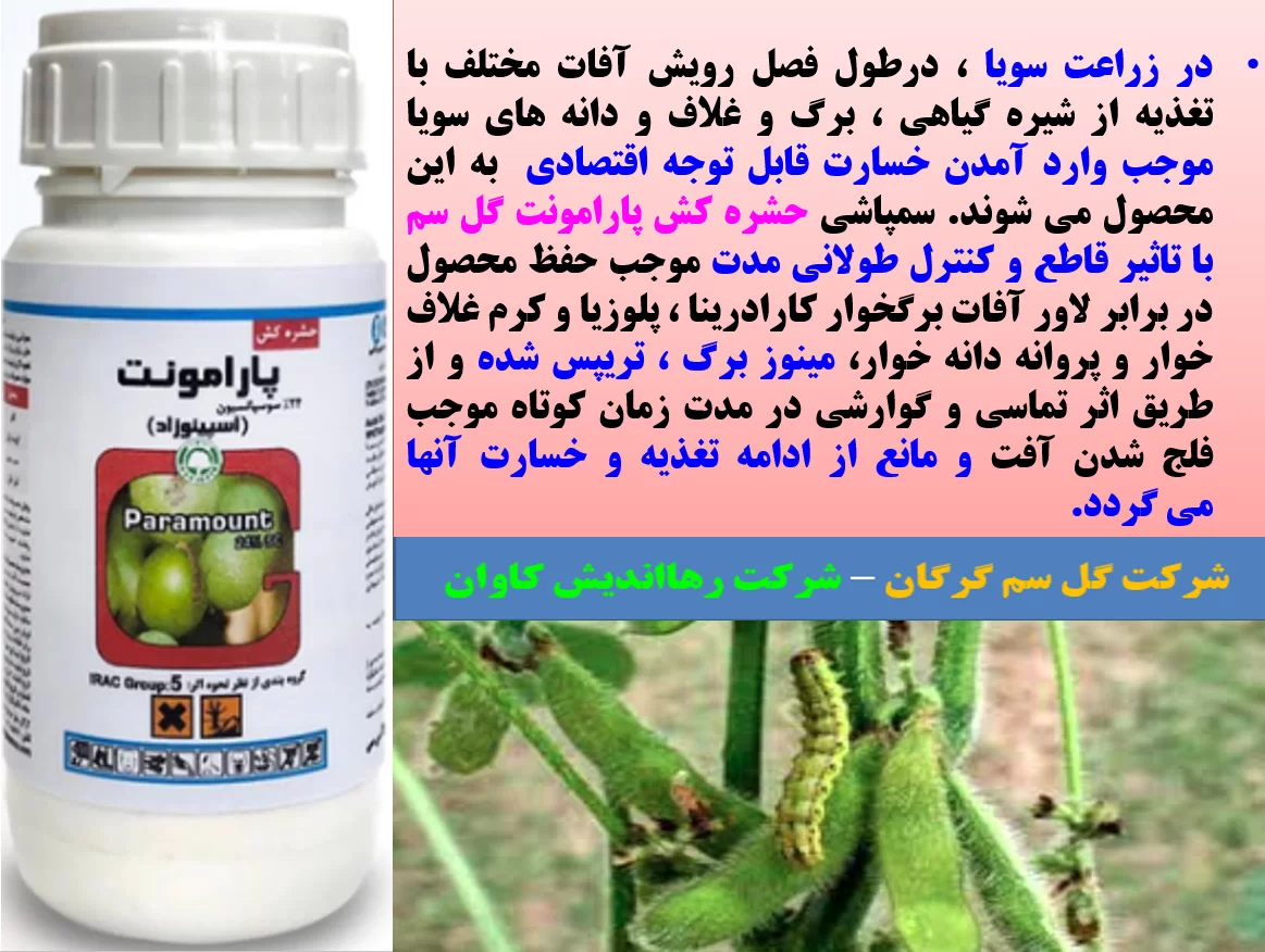 کنترل افات سویا با حشره کش پارامونت گل سم – قسمت اول