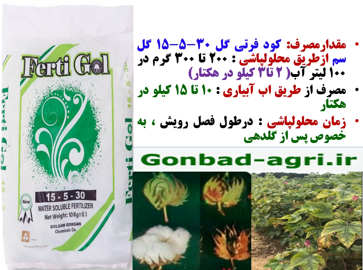تغذیه برگی بوته های پنبه در مراحل بحرانی رشدبا کود فرتی گل – قسمت دوم