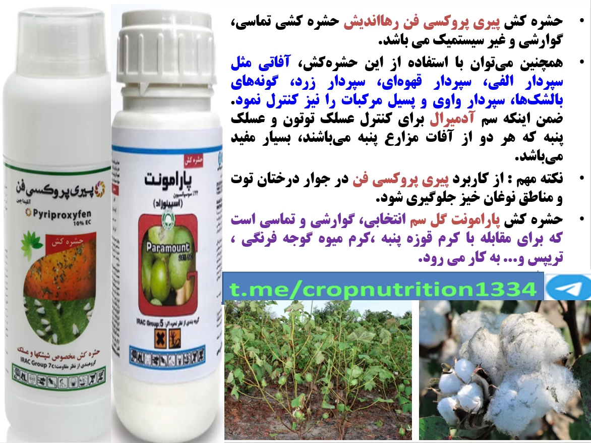 کنترل آفات پنبه به خصوص عسلک و کرم قوزه-قسمت سوم