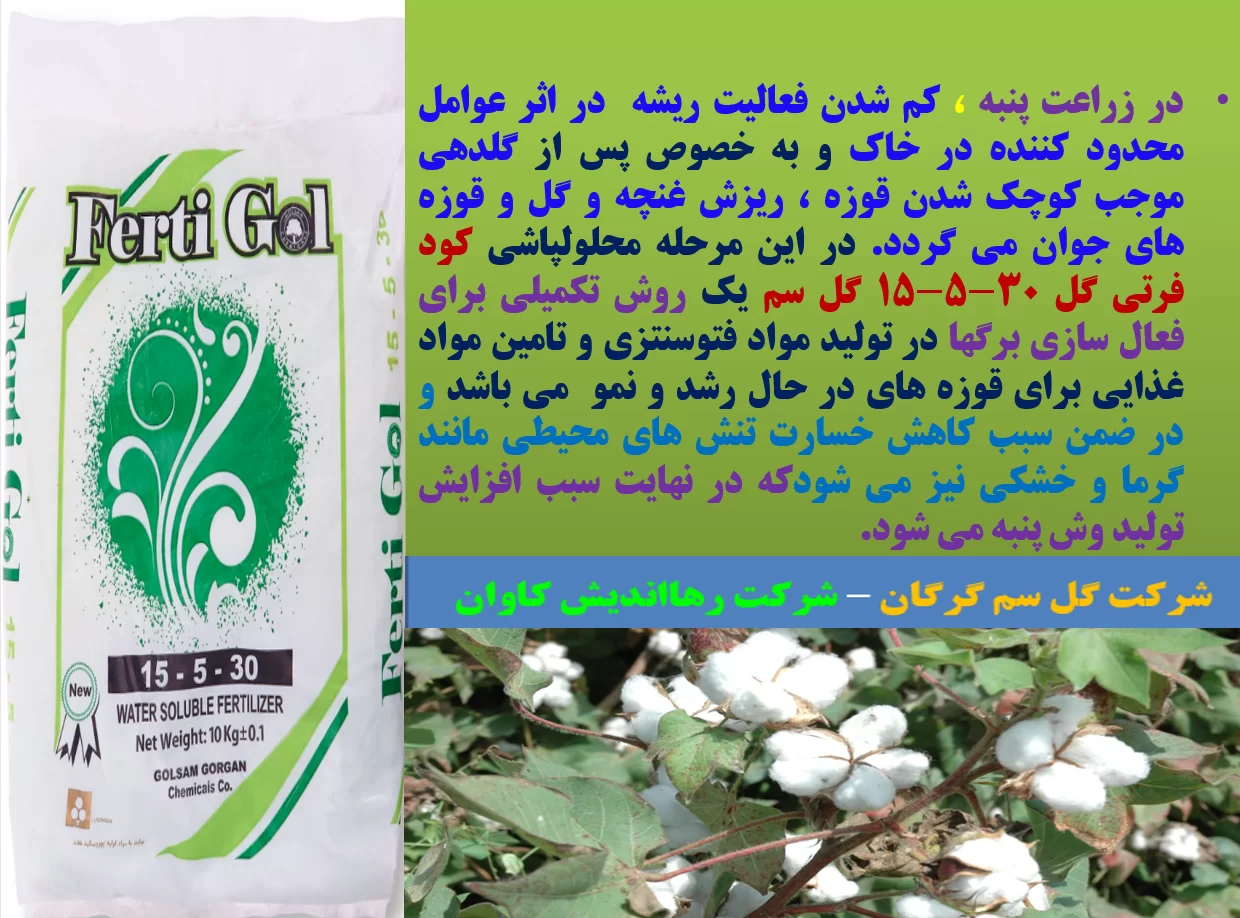 تغذیه برگی بوته های پنبه در مراحل بحرانی رشدبا کود فرتی گل  – قسمت اول