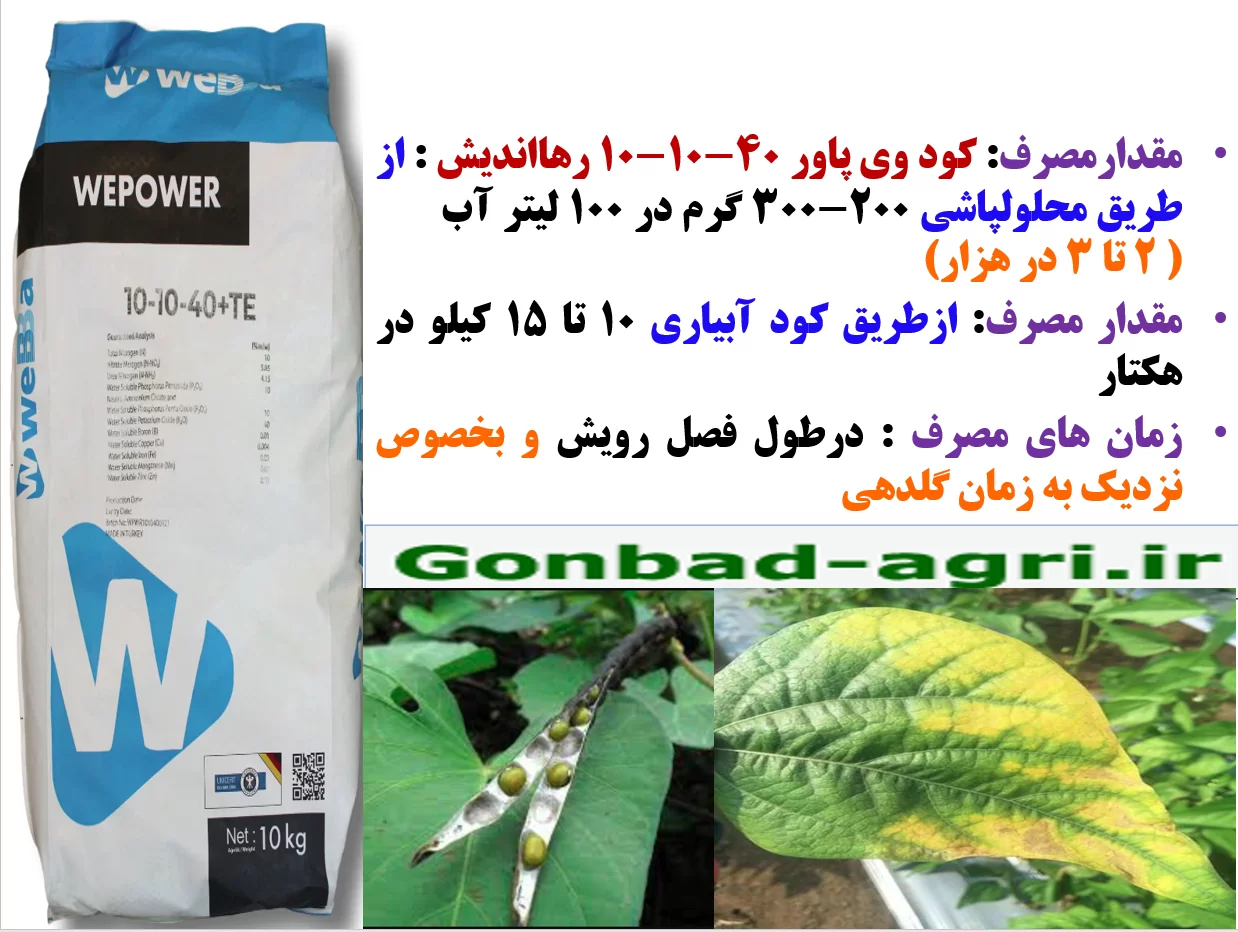 افزایش تحمل بوته های ماش در برابر خشکی و گرما -قسمت دوم