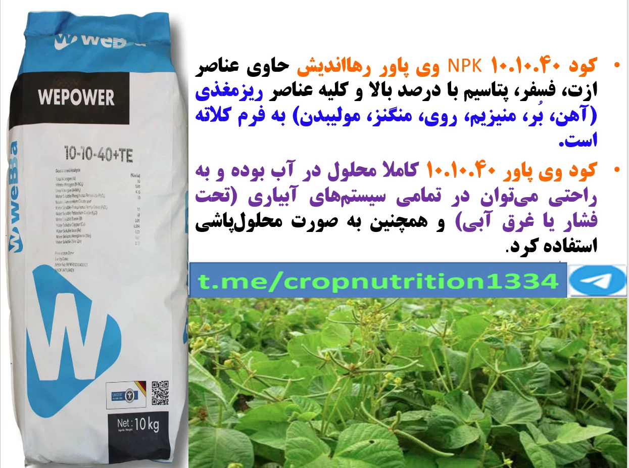 افزایش تحمل بوته های ماش در برابر خشکی و گرما -قسمت سوم