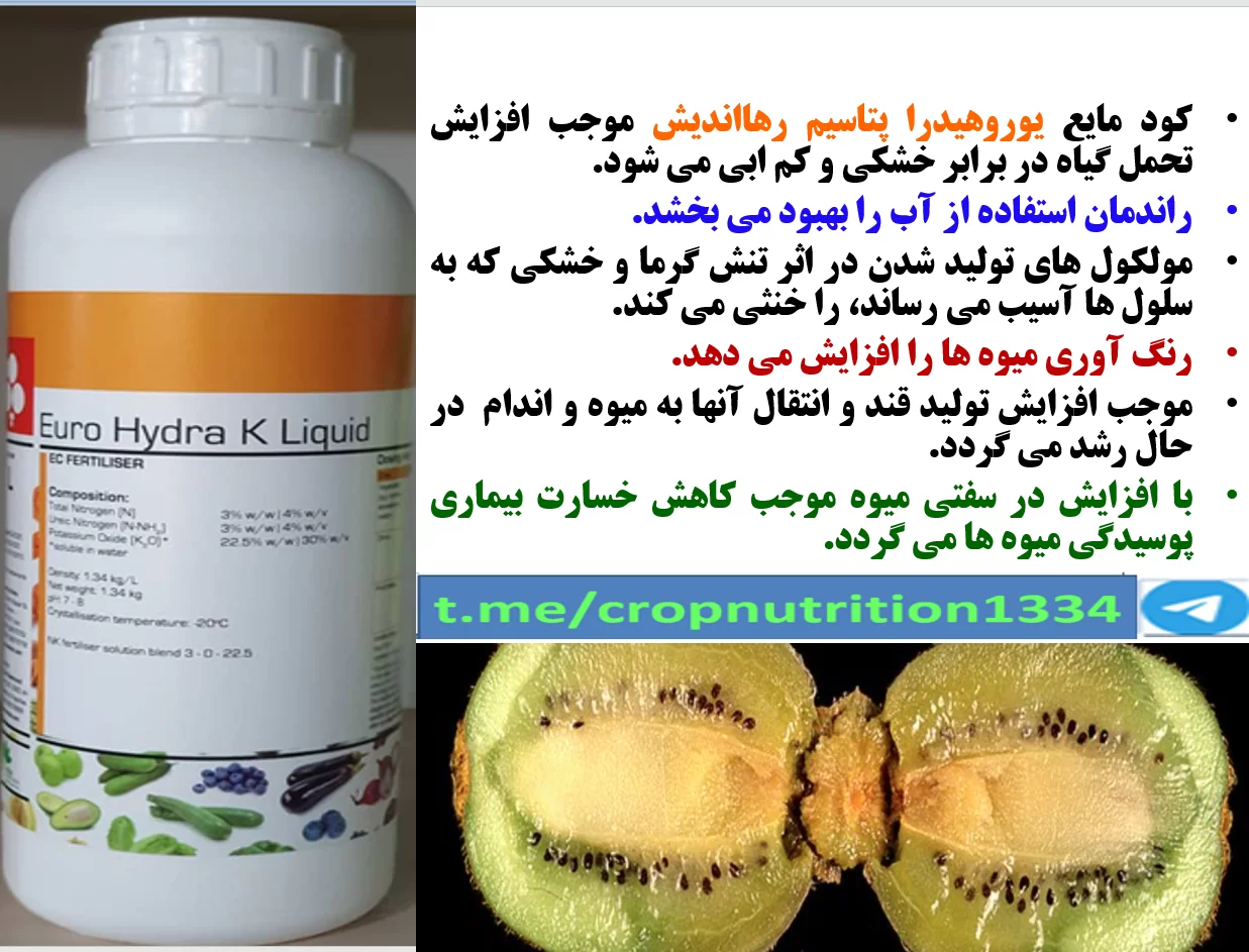 کود مایع یوروهیدرا پتاسیم برای بهبودی در کیفیت میوه کیوی – قسمت سوم