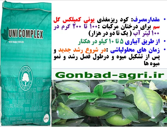 کود ریزمغذی یونی کمپلکس گل سم برای تقویت درختان مرکبات- قسمت دوم