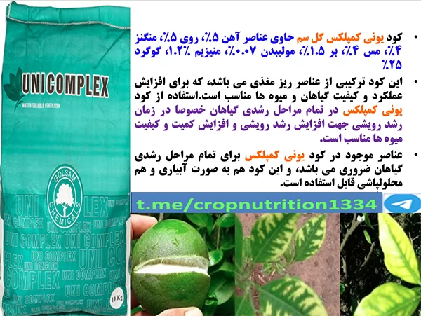 کود ریزمغذی یونی کمپلکس گل سم برای تقویت درختان مرکبات- قسمت سوم