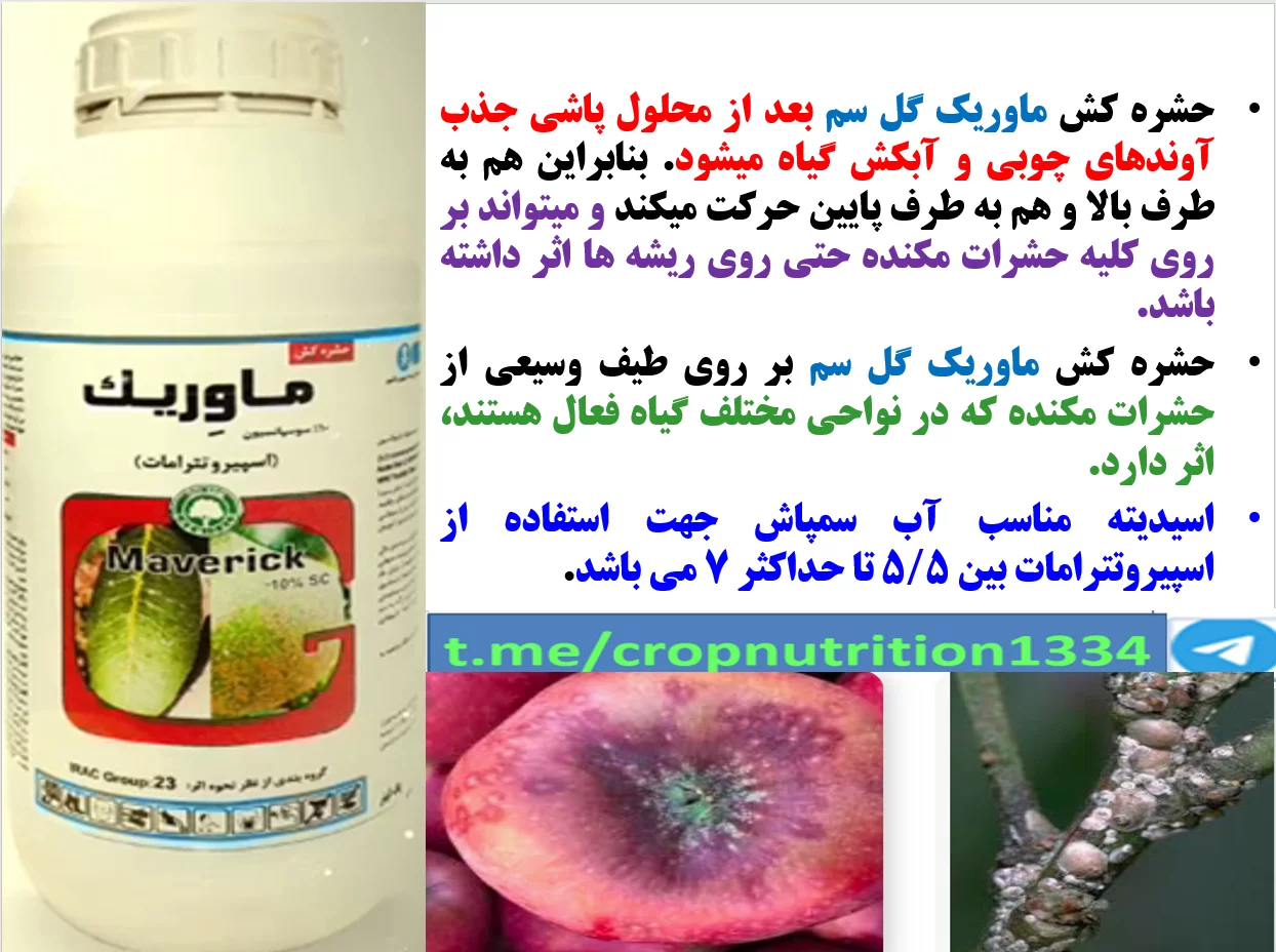 حشره کش ماوریک گل سم برای کنترل آفات مکنده درختان سیب – قسمت سوم