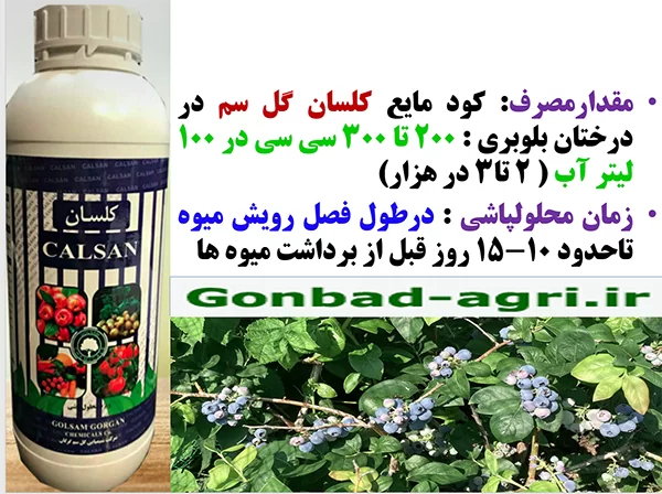 محلولپاشی کود مایع کلسان گل سم برای بهبودی در تولید و کیفیت میوه بلوبری – قسمت دوم