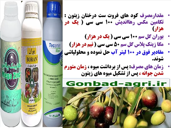 کود های موثر فروت ست برای درختان زیتون- قسمت دوم