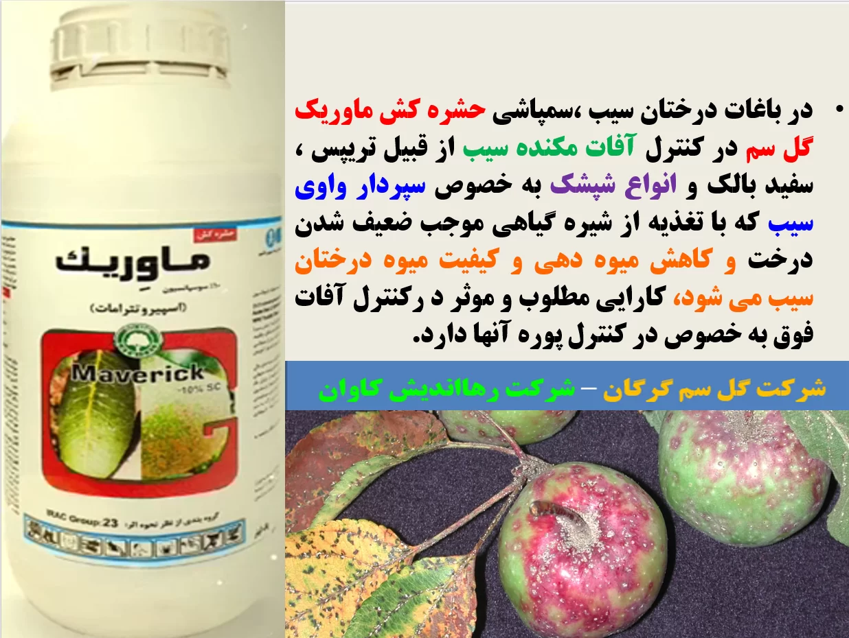 حشره کش ماوریک گل سم برای کنترل آفات مکنده درختان سیب – قسمت اول