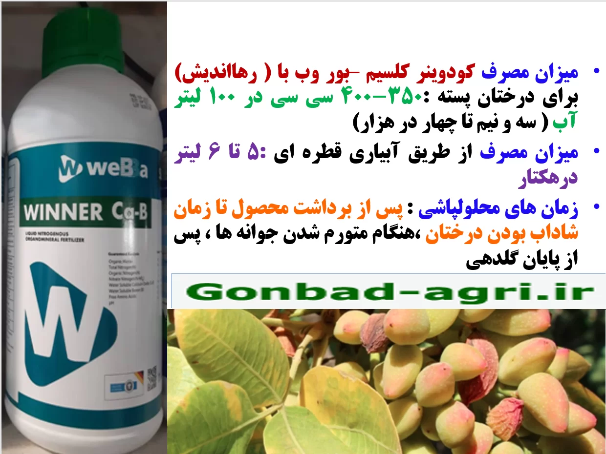 کود وین نر کلسیم و بر رهااندیش برای درختان پسته بعد از برداشت محصول- قسمت دوم