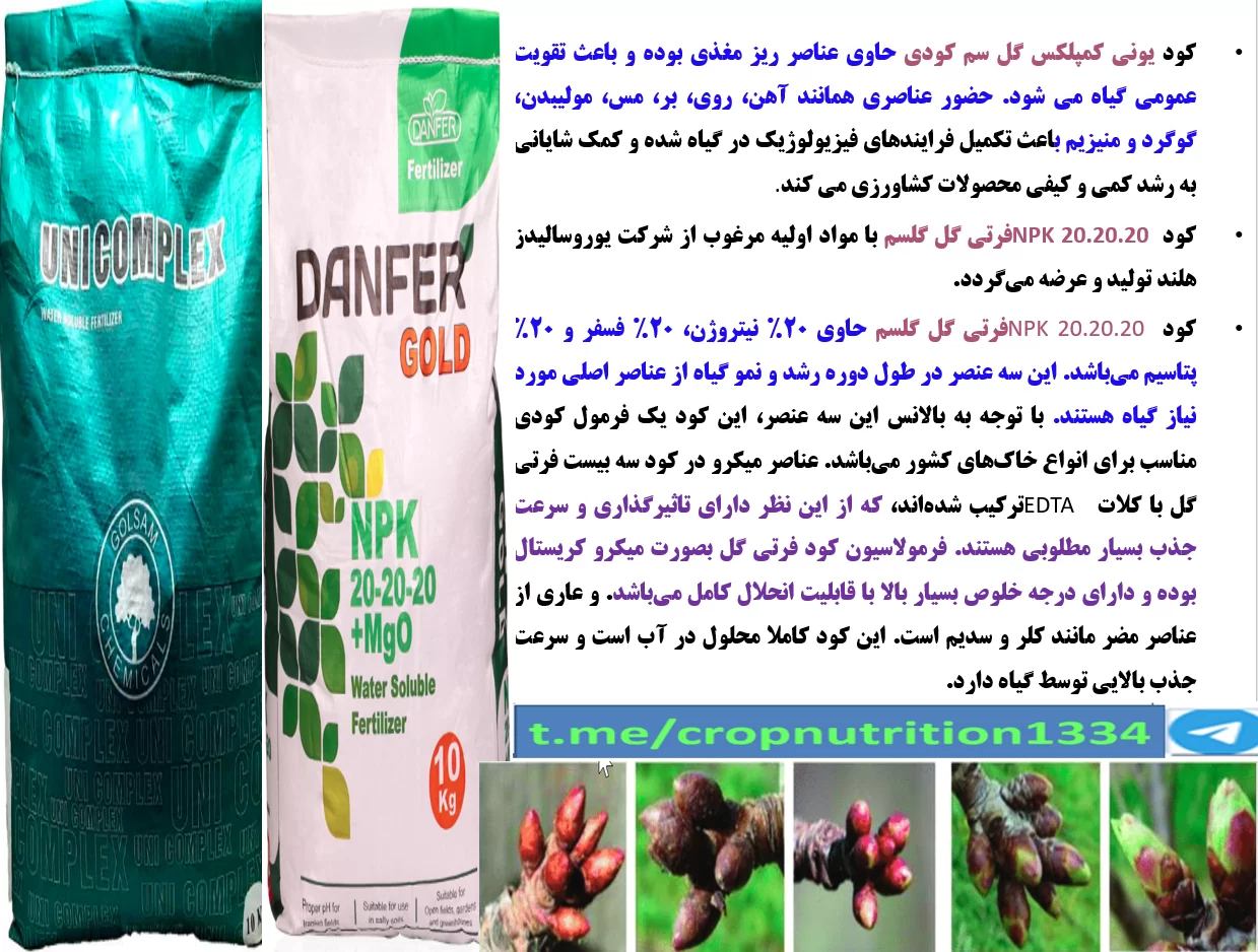 کود کامل فرتی گل و یونی کمپلکس گل سم به عنوان کود فروت سن درختان گیلاس و آلبالو – قسمت سوم