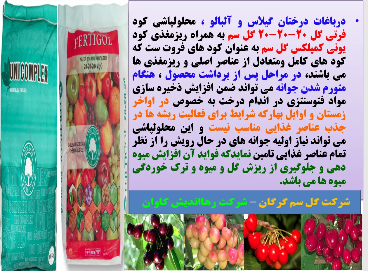 کود کامل فرتی گل و یونی کمپلکس گل سم به عنوان کود فروت سن درختان گیلاس و آلبالو – قسمت اول