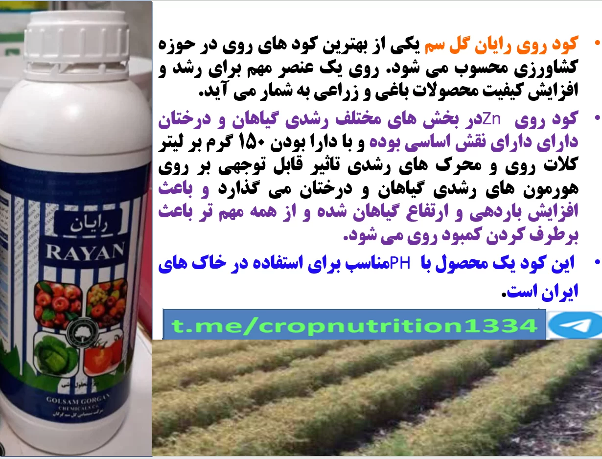 اهمیت کود مایع رایان گل سم در زراعت نخود -قسمت سوم