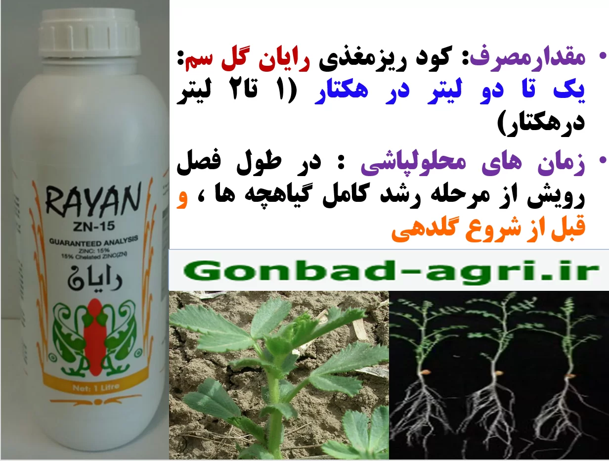 اهمیت کود مایع رایان گل سم در زراعت نخود -قسمت دوم