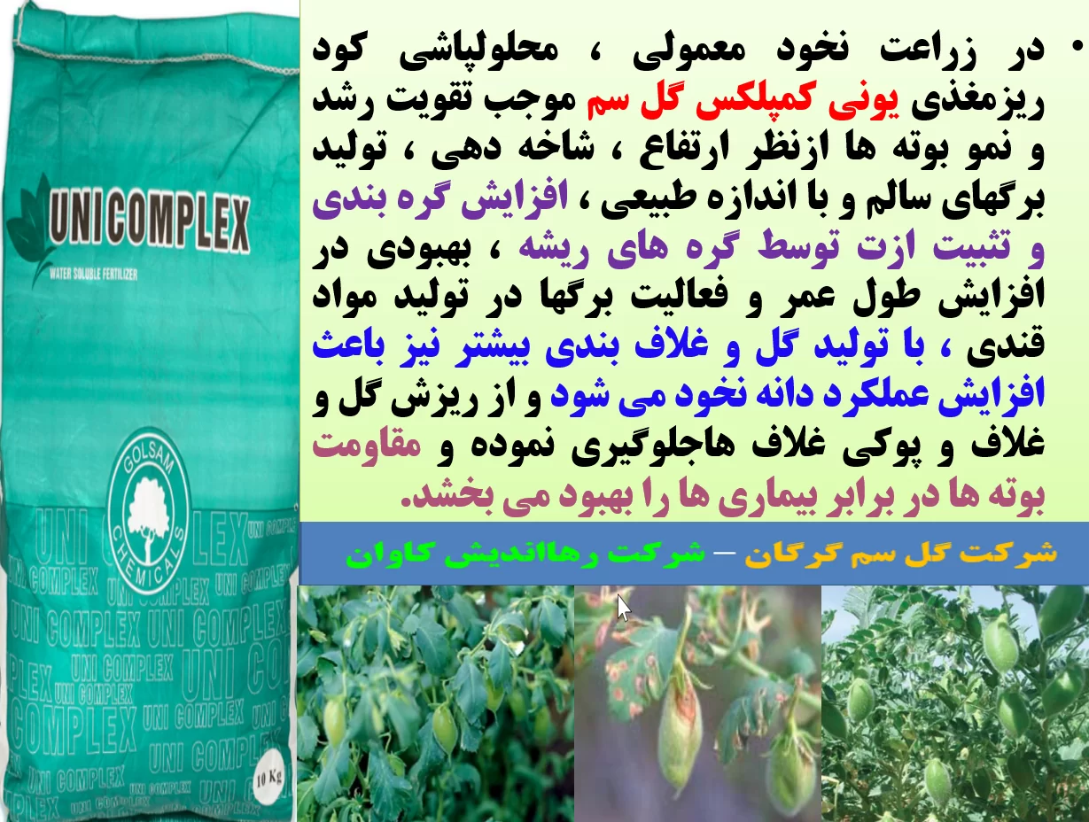 اهمیت ریزمغذی ها در زراعت نخود معمولی- قسمت اول