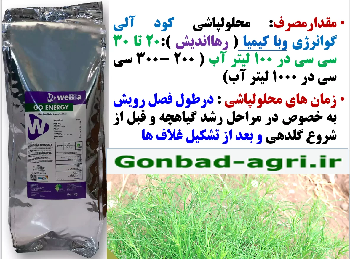 افزایش تحمل بوته های زیره سبز در برابر تنش های محیطی با کود آلی گوانرژی رهااندیش – قسمت دوم