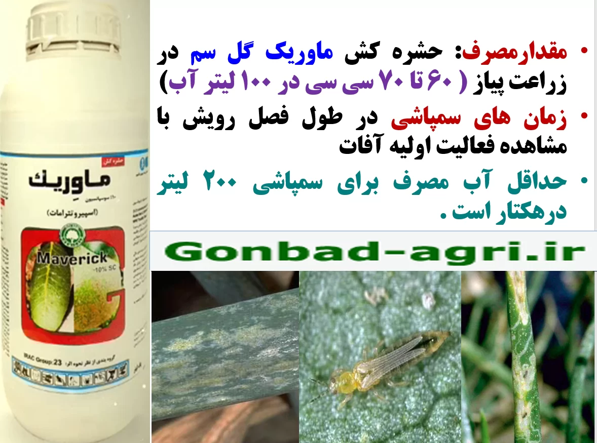 کنترل آفات مهم پیاز با حشره کش ماوریک گل سم – قسمت دوم