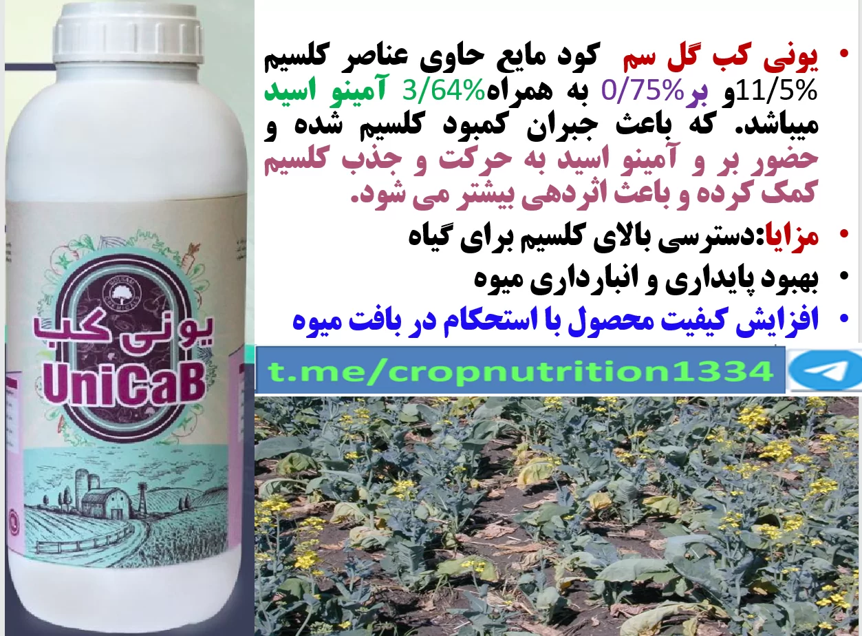 افزایش مقاومت بوته های کلزا در برابر تنش ها با مصرف کود یونی کب گل سم – قسمت سوم