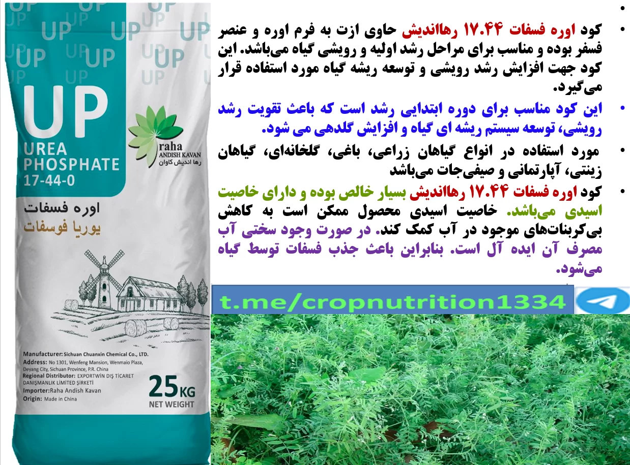 افزایش تولید در زراعت عدس با کاربرد کود اوره فسفات رهااندیش- قسمت سوم