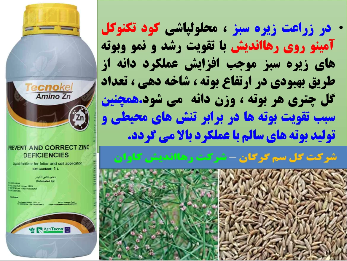 محلولپاشی تکنو کل آمینو روی رهااندیش برای تقویت بوته های زیره سبز- قسمت اول