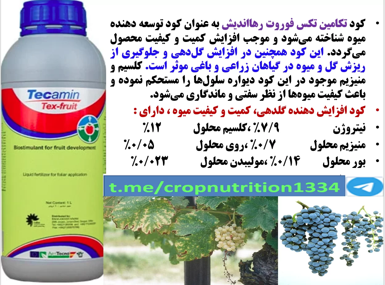 کود تکامین تکس فروت رهااندیش به عنوان کود فروت ست برای درختان انگور- قسمت سوم