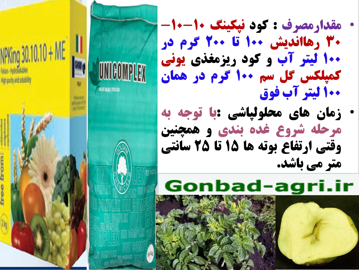 بهبودی در تولید و کیفیت غده های سیب زمینی – قسمت دوم