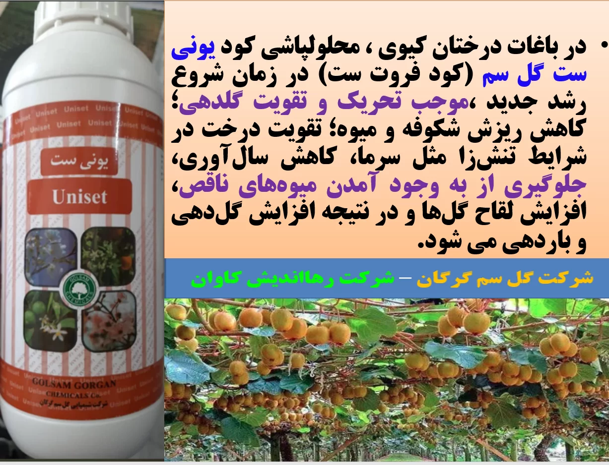 کودفروت ست، یونی ست گل سم برای افزایش میوه دهی درختان کیوی – قسمت اول