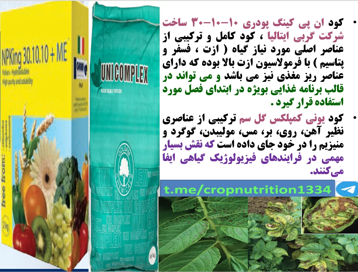 بهبودی در تولید و کیفیت غده های سیب زمینی – قسمت سوم