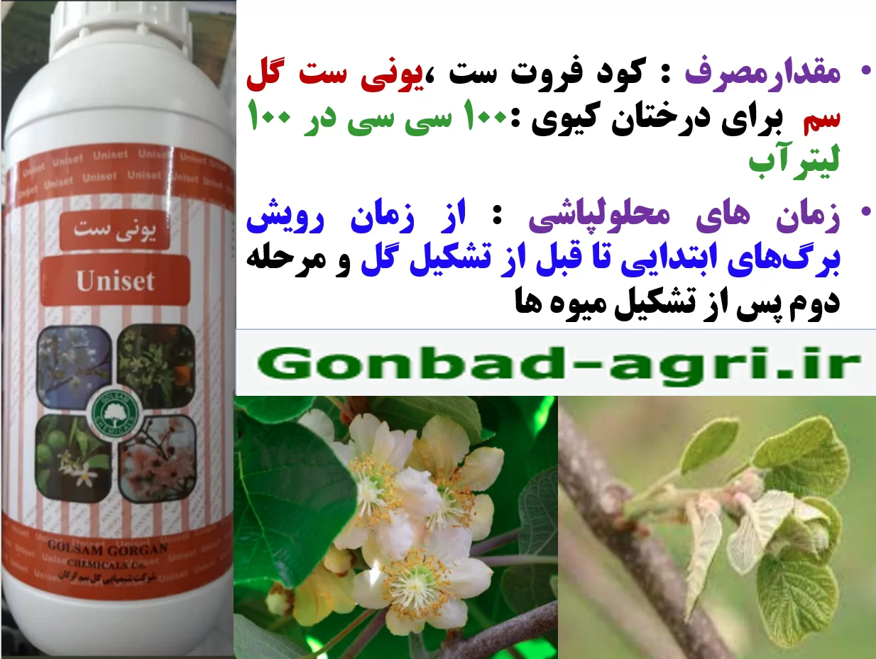 کودفروت ست، یونی ست گل سم برای افزایش میوه دهی درختان کیوی – قسمت دوم