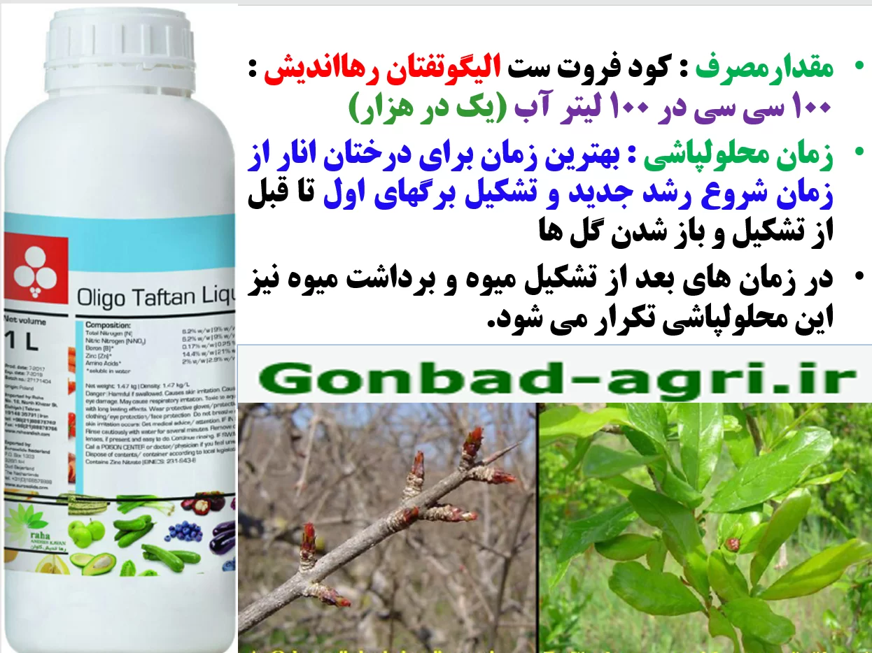 کود مایع الیگوتفتان رهااندیش کود فروت ست درختان انار- قسمت دوم