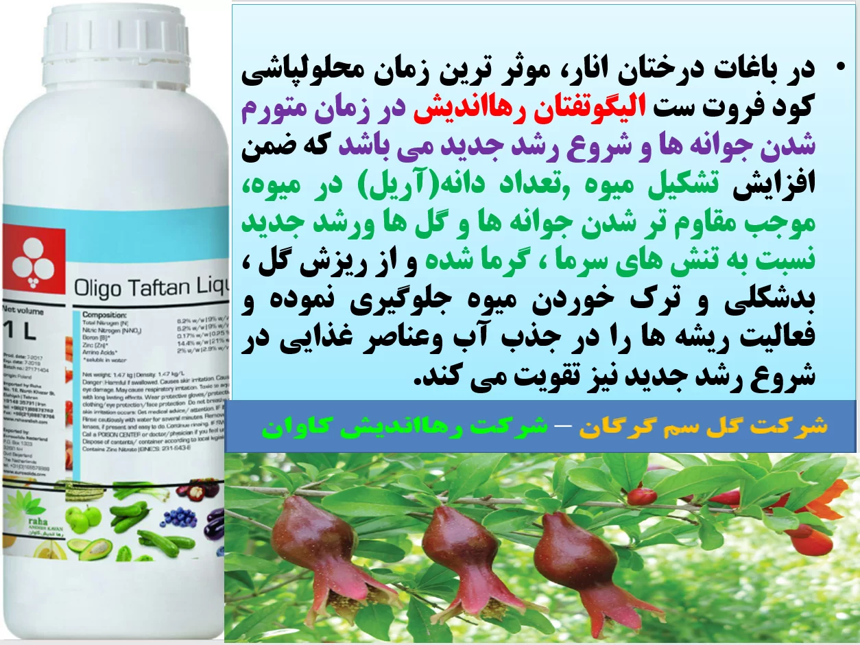 کود مایع الیگوتفتان رهااندیش کود فروت ست درختان انار- قسمت اول